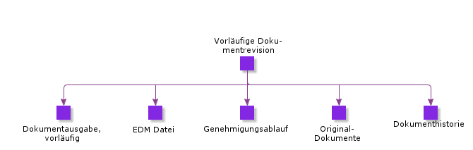 PreliminaryDocumentRevision