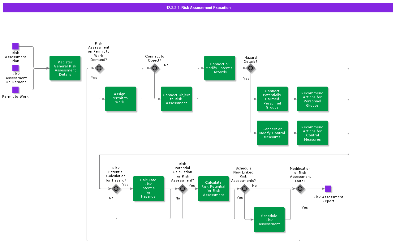 riskassessmentexecution